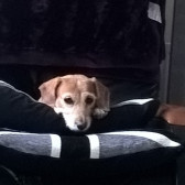 Stuart Johnston's picture